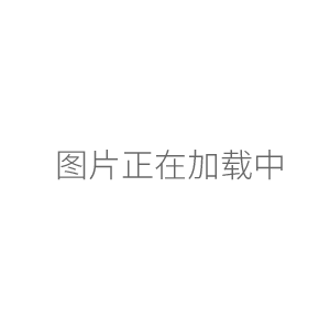 ME204电子天平万分之一分析天平内校